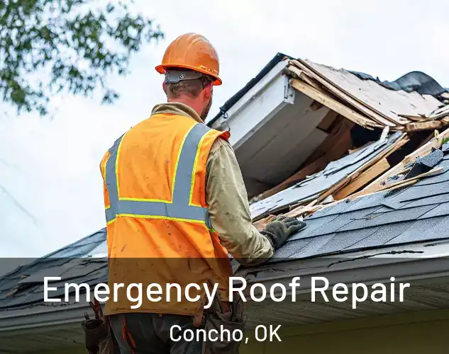  Emergency Roof Repair Concho, OK